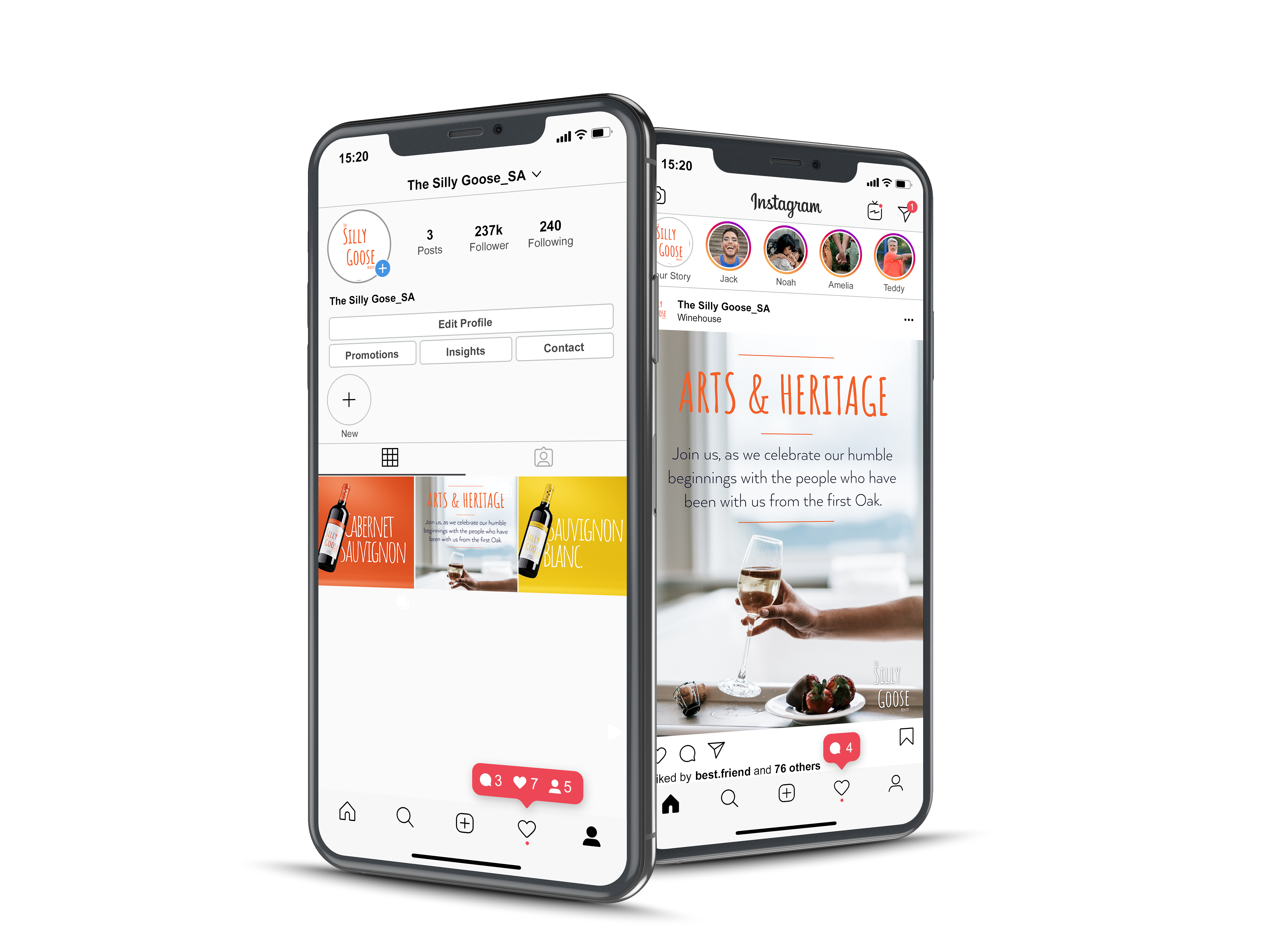 The silly goose - iPhone IG Post mockup